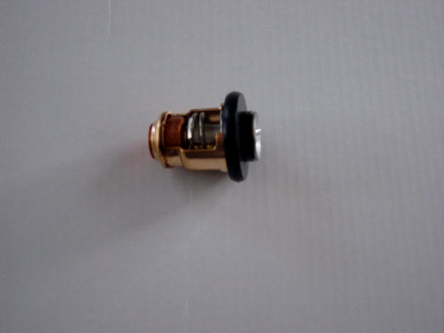 Yamaha outboard motor Thermostat